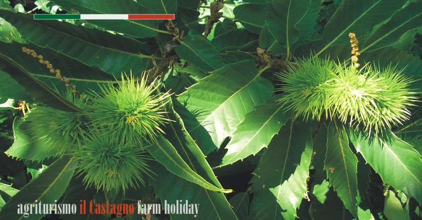 Farm Holidays in Campania